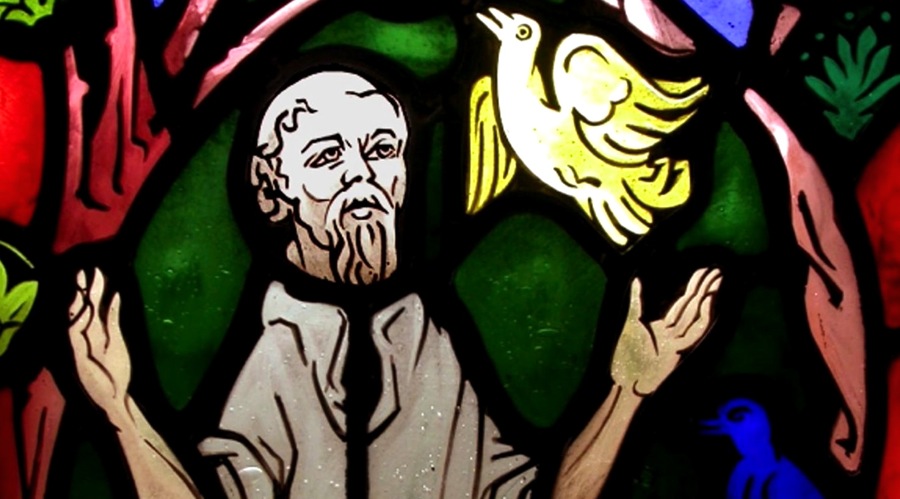Stained glass Saint Francis by David Williams & Stephen Byrne