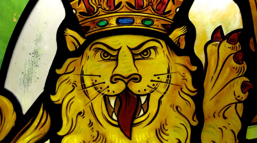 Lion of England by David Williams & Stephen Byrne